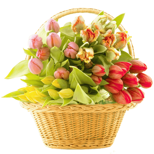 bouquet_PNG16