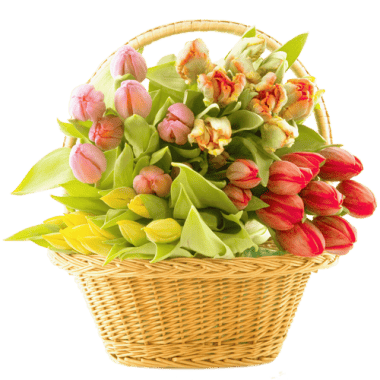 bouquet_PNG16